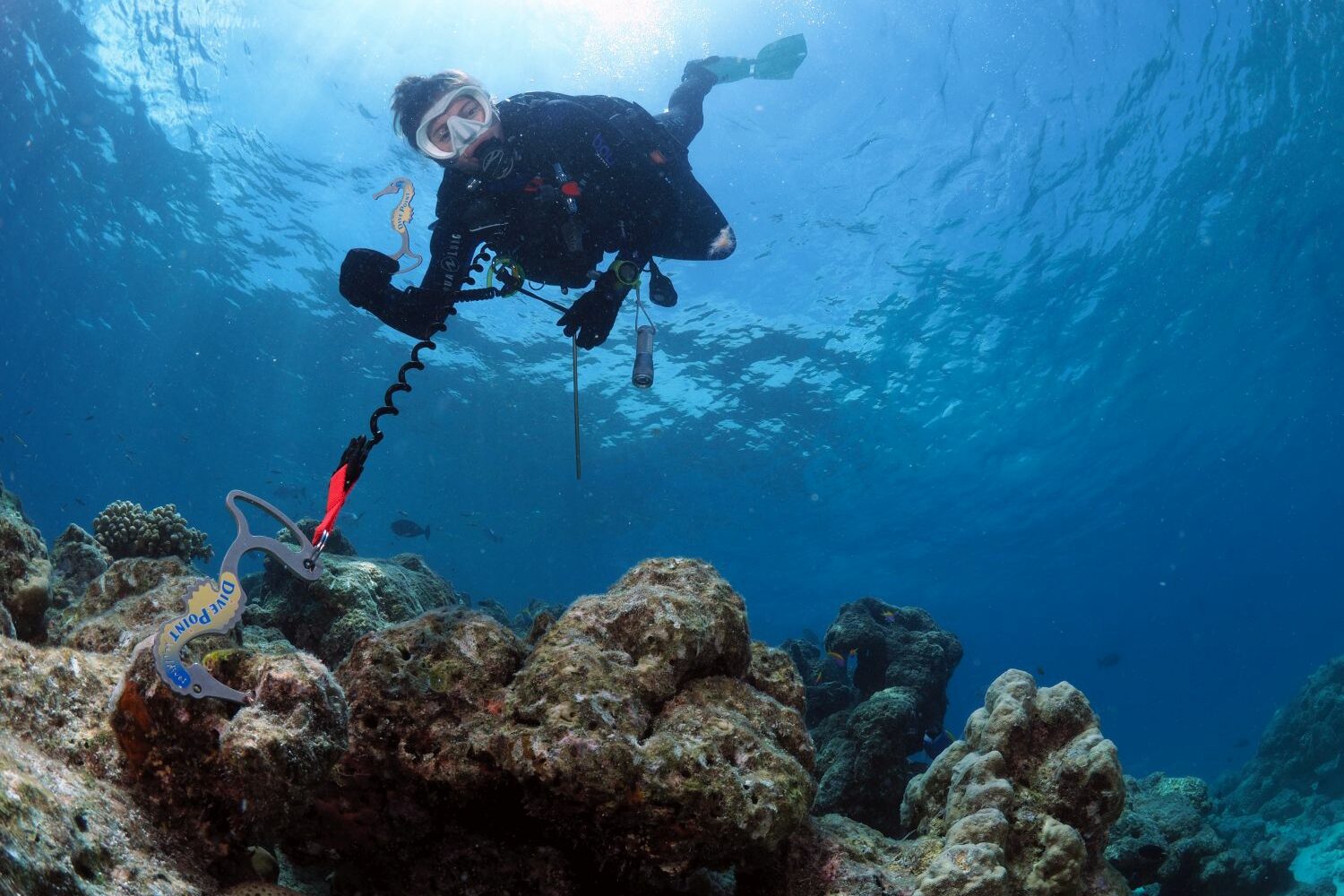 how to use a reef hook