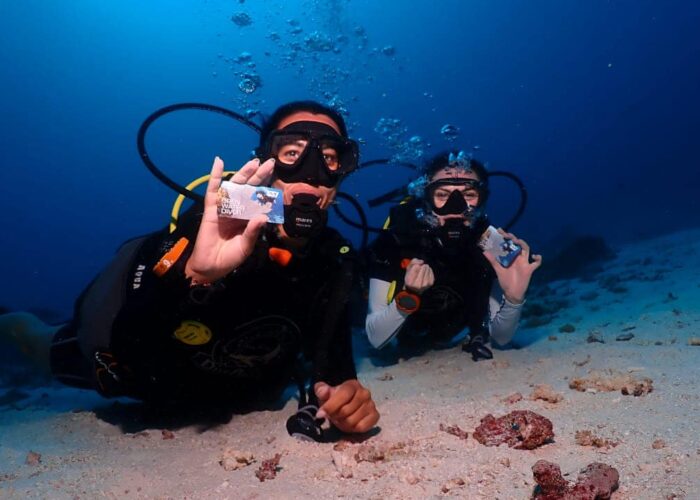 Open Water Dive Course