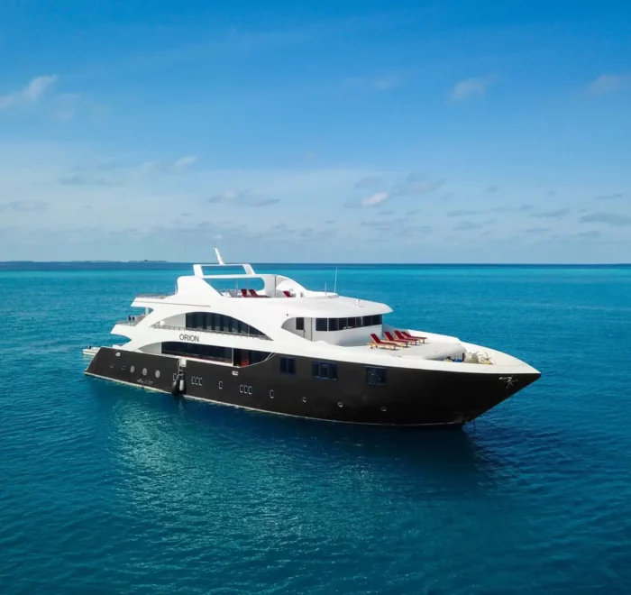 liveaboard Spirit of Maldives